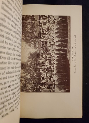 WÜSTENWINDS von Hafsa. 1927 1. Aufl., DJ. Nordafrika STAATLICHER ERSTDRUCK - Bild 10 von 13