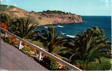 Pre-1980 PARK SCENE San Pedro California CA j/09 BJ9377