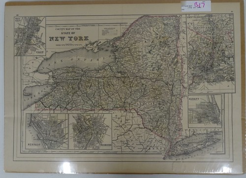 W. H. Gamble Hand Colored 1894 New York State County Map Lake Ontario B17 - Picture 1 of 10