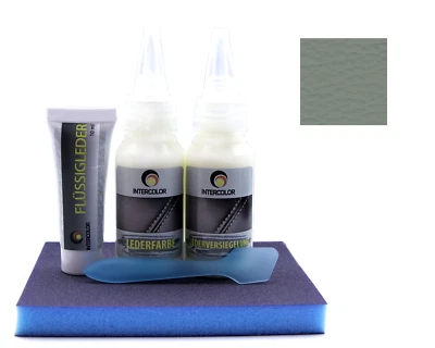 Auto Audi "mond silver" colore pelle e riparazione per pelle, ecopelle