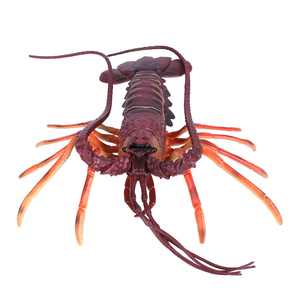 Simulation Soft Plastic Lobster Seafood Restaurant Prop Decoration Kids Toy