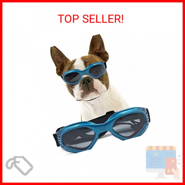 Goggles for boston terriers top