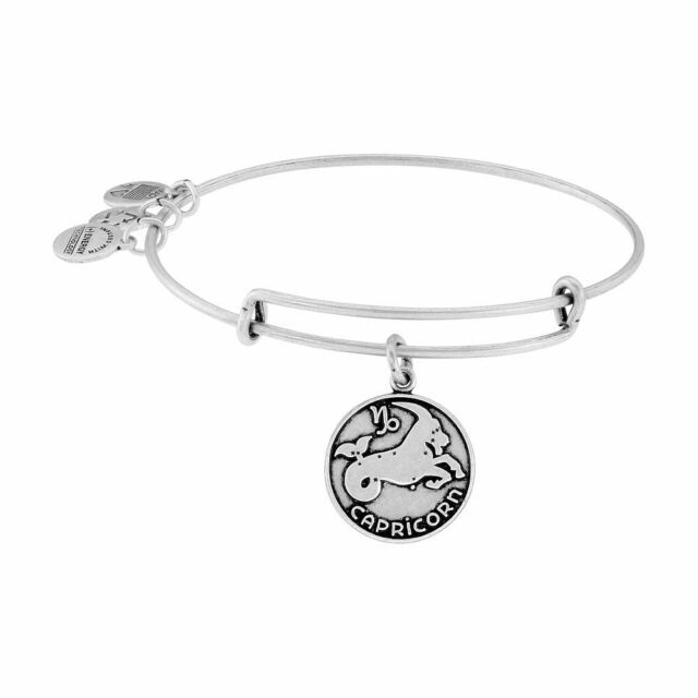 Alex And Ani Celtic Knot Charm Bangle Rafaelian Silver Finish Cbd13bcsfrs For Sale Online Ebay
