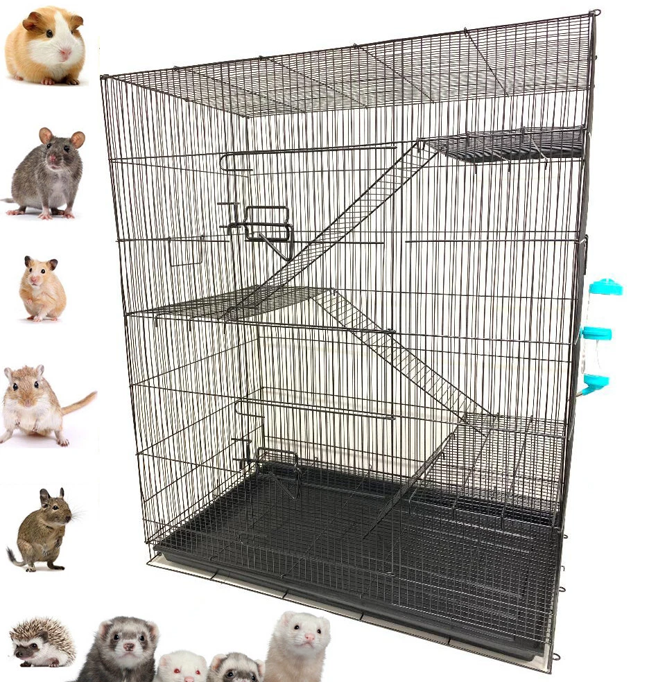 Large on sale mouse cage