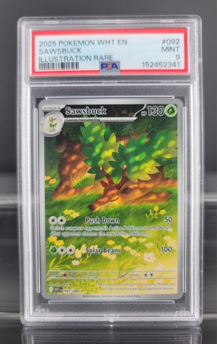 Sawsbuck graded PSA 9 for sale on eBay