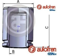 Autofren Seinsa D025231 Kolben FüR Bremssattel Kolben Bremssattel