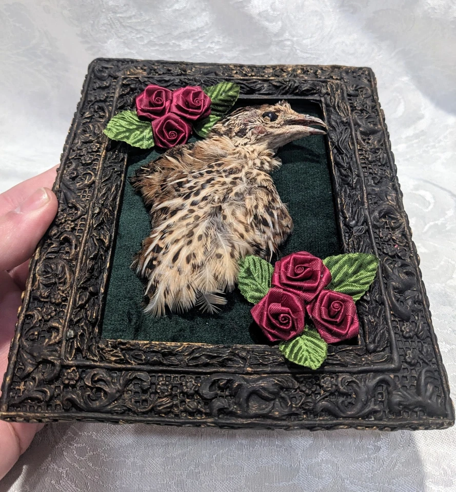 Настоящий перепел на темно-зеленый бархат в переработанной винтажной раме с шелковыми розами - Изображение 3 из 4