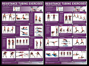 Gym Wall Charts