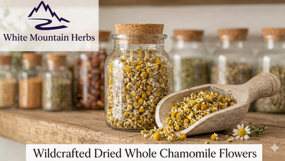 Wild Crafted Chamomile Flowers Dried ~ 8 oz. Freshly Packed USA Free Ship