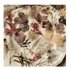 40pc Dry Autumn Fall Foliage Sticker Pack PET Leaves Ephemera Journal Scrapbook