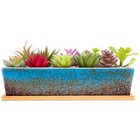 12.1" Blue Succulent Pots with Drainage Tray for Cactus & Bonsai