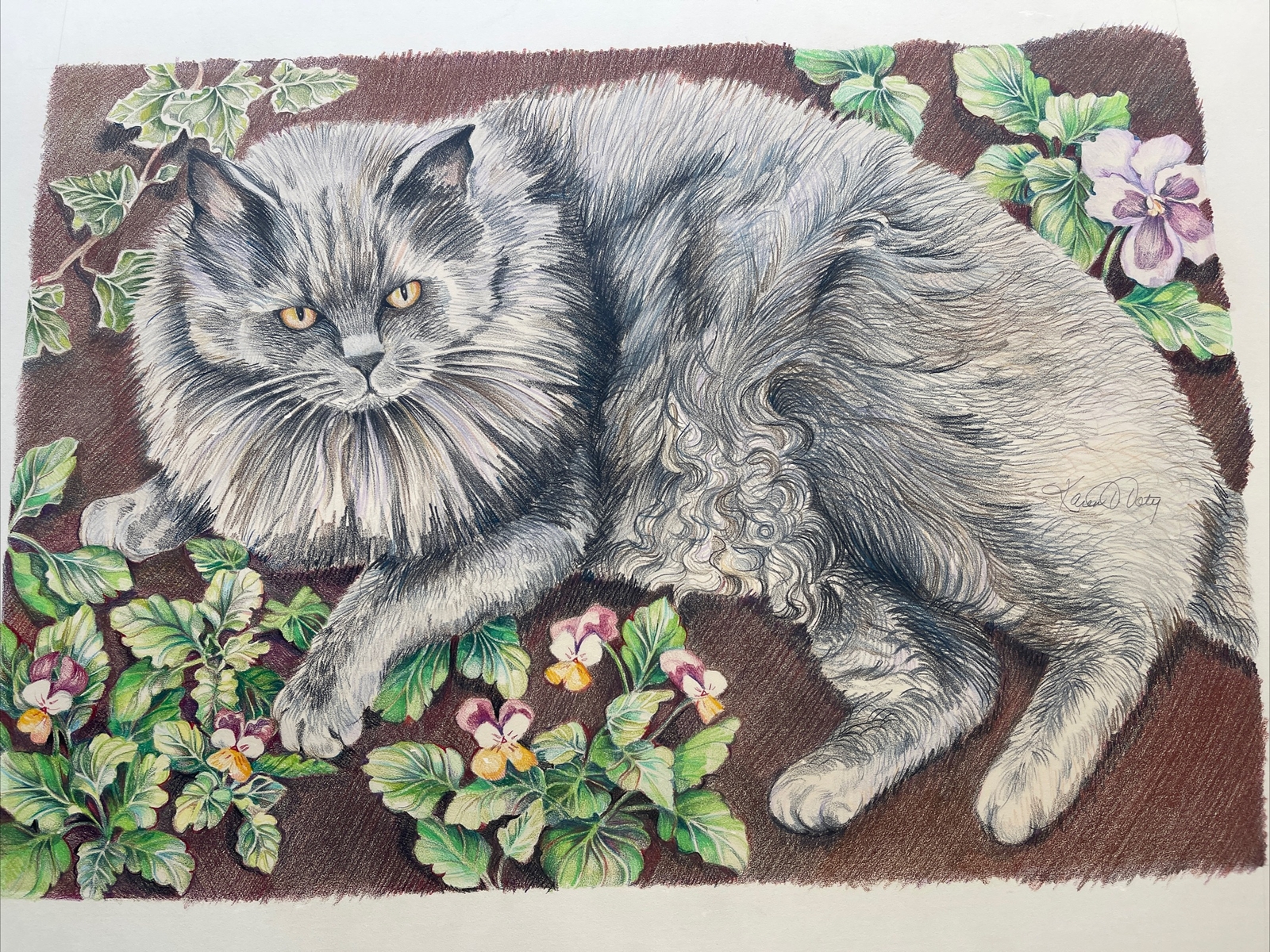 VERY DETAILED CAT KITTEN DRAWING PORTRAIT INCREDIBLE SIGNED KAREN DOTY LISTED
