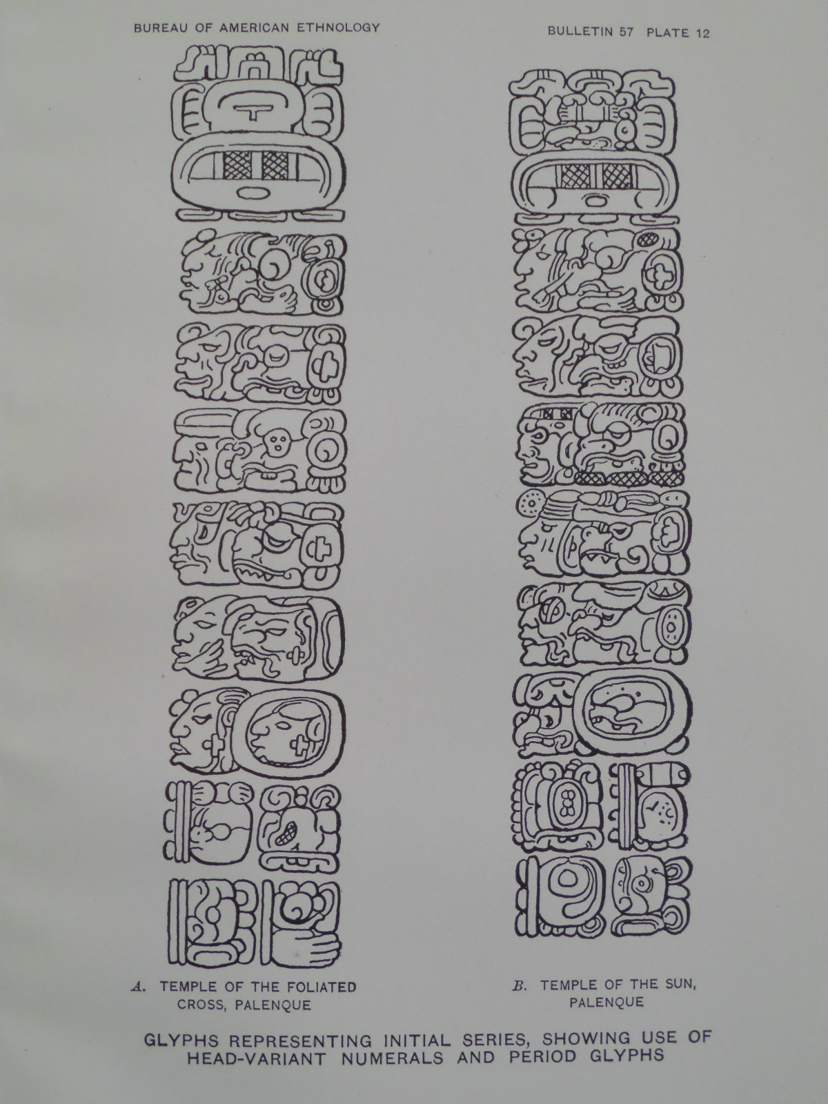 Foto 1 di 2