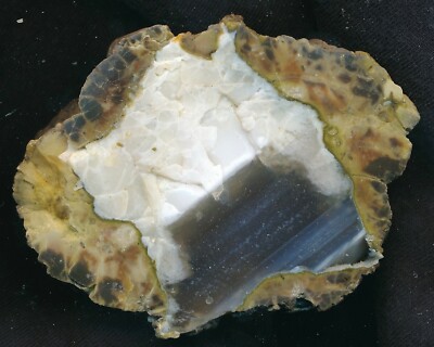Achat/Agate Thunderegg Secret Ridge Harney Rim in Oregon USA - interessant !!!!!