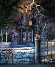 10 20 Ft Muslin 100 Hand Painted Photo Halloween Backdrop HW-2