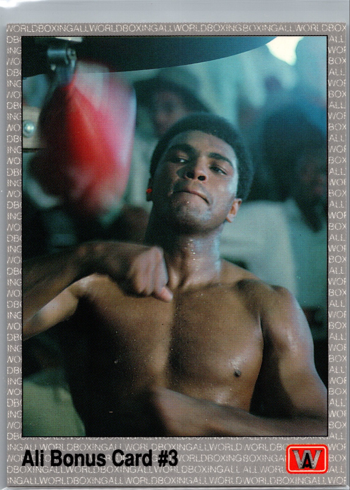 1991 All World Boxing - Muhammad Ali #40