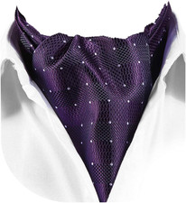 Ascot Tie Mens Cravat Ties Floral Paisley Polka Dot Jacquard Self Ascots Cravat