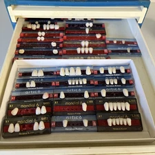 Lot 225+ Partial Dental Tooth Sets Heraeus Kulzer Artic Mondial Trubyte Bioform