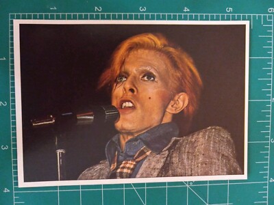1975 PANINI ROCK MUSIC POP STARS STICKER CARD DAVID BOWIE 