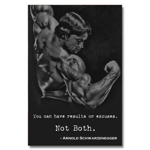 Arnold Schwarzenegger Bodybuilding Motivational Quotes Silk Poster 13x18 24x32"