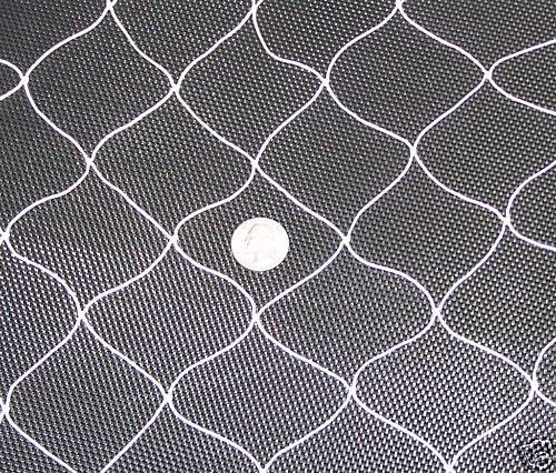 12' x 12'  BASEBALL SOFTBALL BASKETBALL VOLLEYBALL BARRIER  2" NYLON NETTING #9 - 第 1/1 張圖片