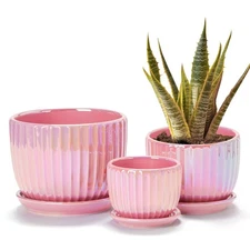 Ton Sin Pink Gold Ceramic Flower Pots, 4"+5"+6" Inch Small Glazed Succulent P...