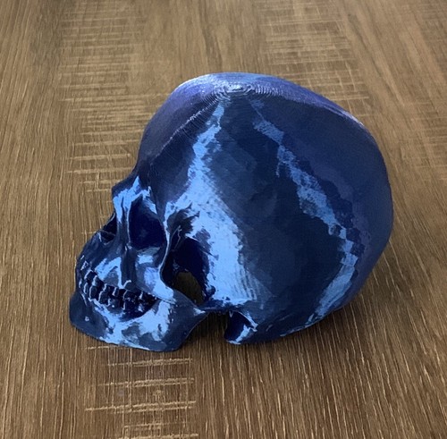 3D Printed Royal Blue Human Skull - Picture 5 of 8