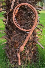 Bull Whip Genuine Goat Hide Leather Whip 8 feet 16 Plait Fully Handmade Bullwhip