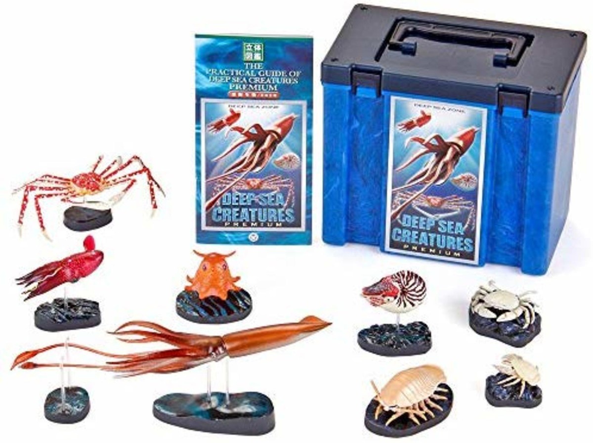 Colorata Deep Sea Creatures Premium Real figure box F/S w