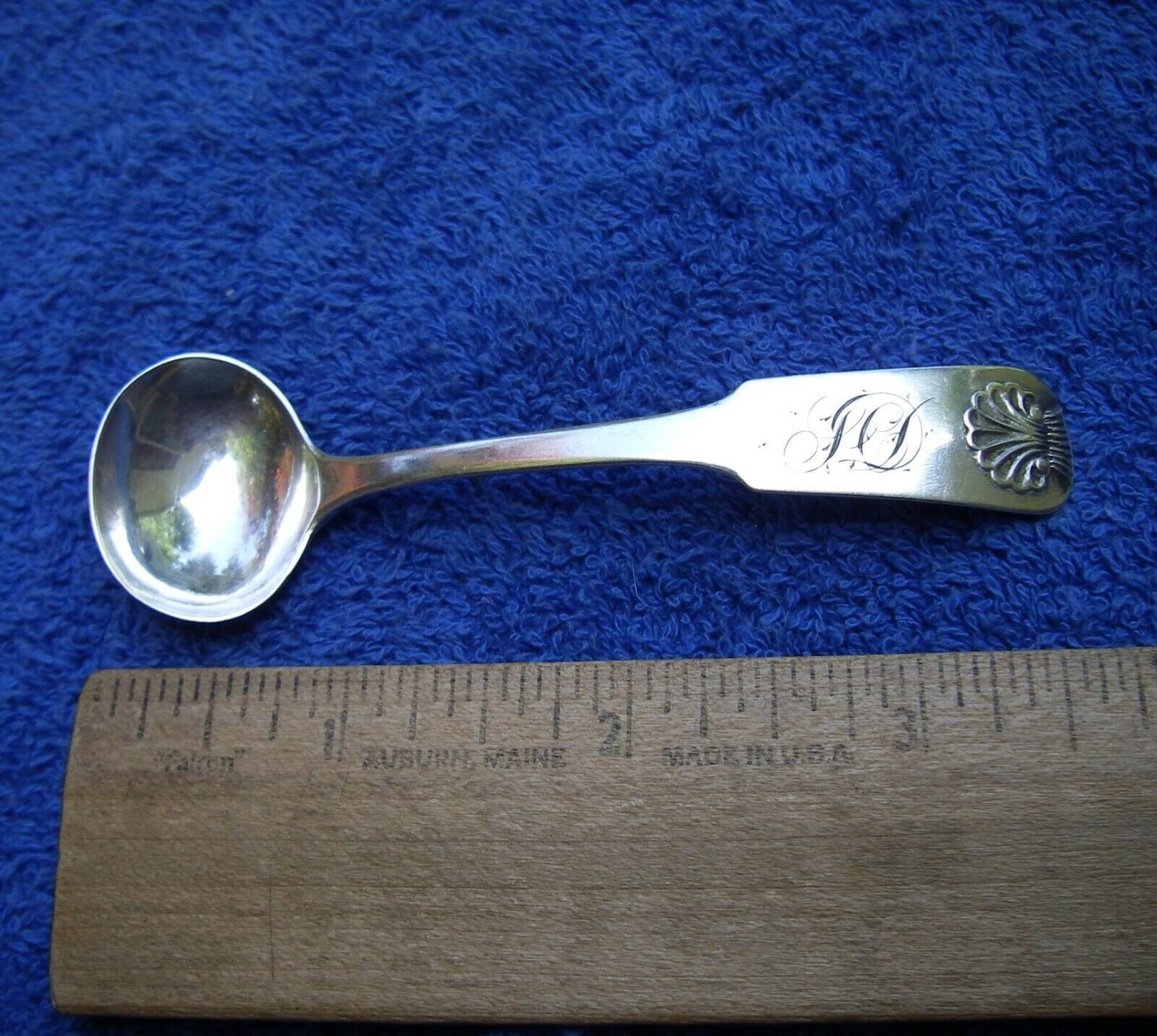 Fine NEW YORK  SHELL Finless Fiddle Coin Silver SALT SPOON-TAYLOR & HINSDALE