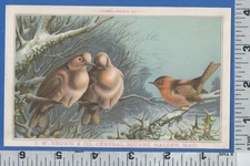 5611 T W Brown shoe store trade card Central Square Malden MA L Prang printer