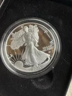 2021-W American Silver Eagle Proof — photo from another recent sale