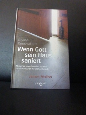 Divine Renovation Wenn Gott sein Haus saniert James Mallon