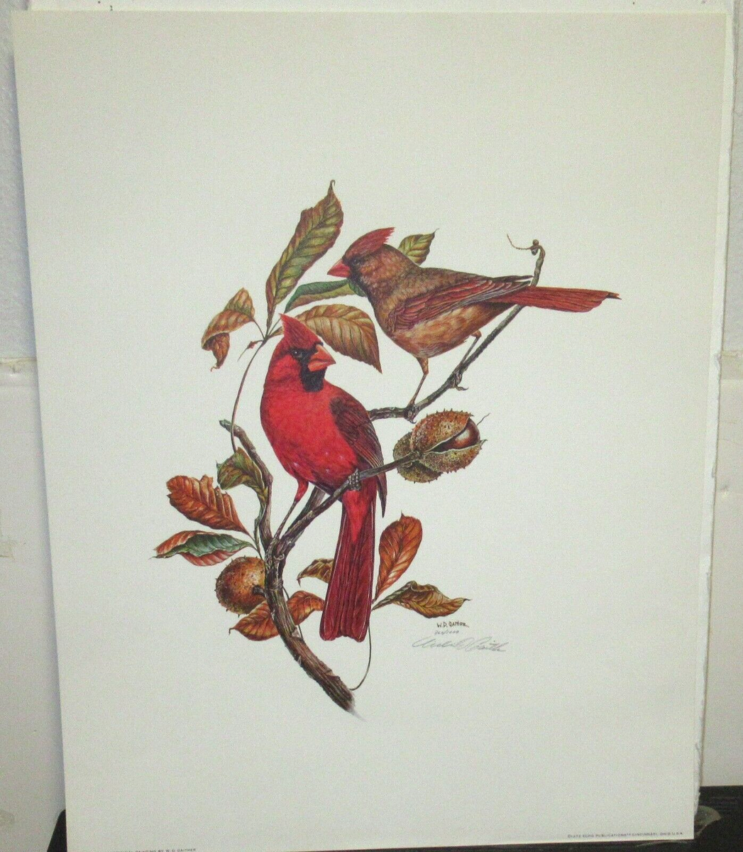 W D GAITHER CARDINAL BIRDS LIMITED EDITION HAND SIGNED IN PENCIL