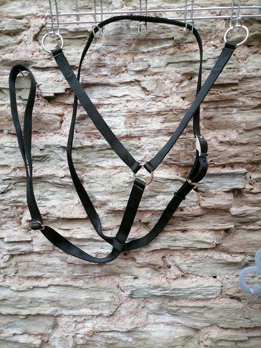 web RUNNING MARTINGALE Small pony, Pony, Cob, F/S synthetic WEBBING all colours - Picture 16 of 52