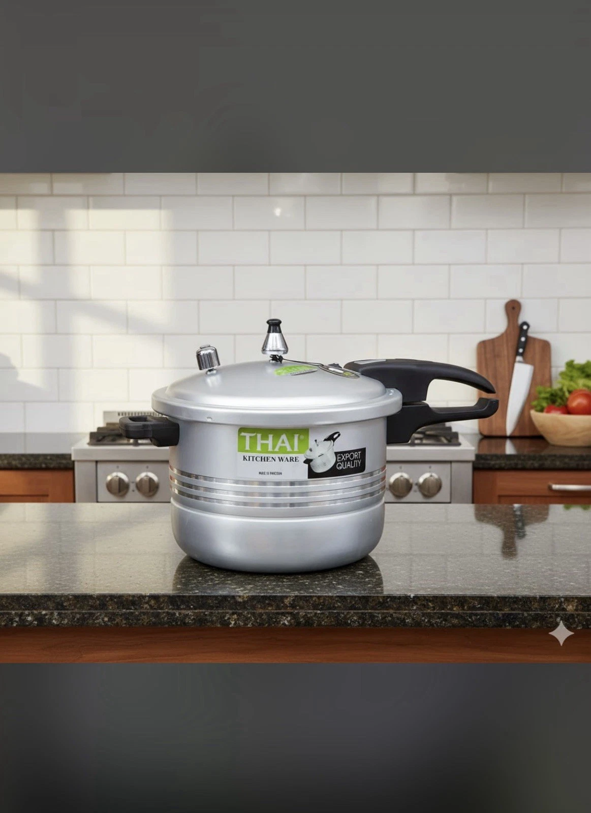9 Litre Home Dual Handle aluminum Pressure Cooker Kitchen Catering Cookware