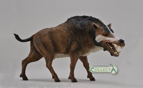 Daeodon Dinosaur Toy Model Figure Deluxe Scale by CollectA 88723 New - Foto 2 di 2