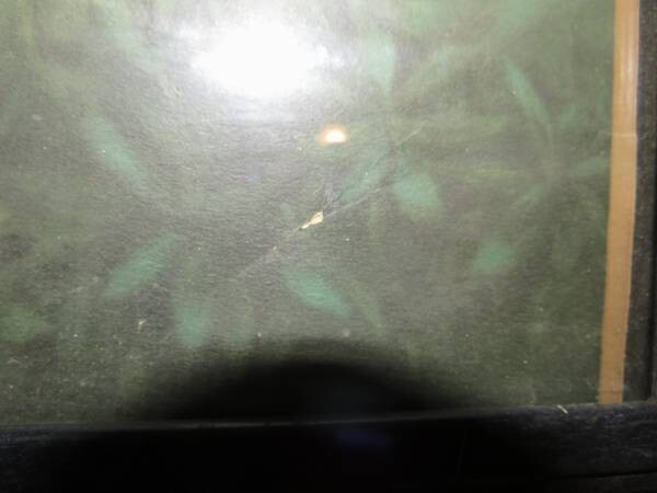 Picture 5 of 6