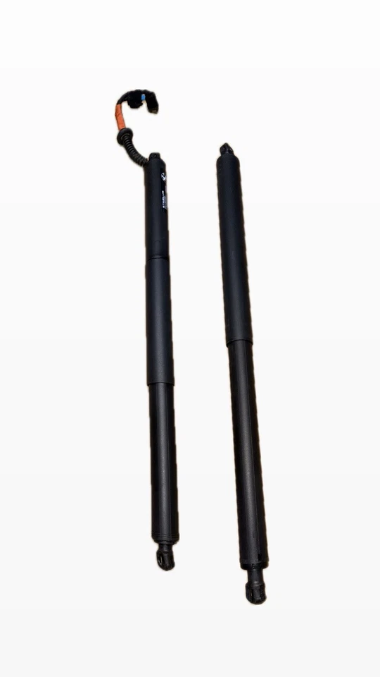 BMW X1 F48 2016-2022 puerta trasera maletero elevación soporte puntales conjunto izquierda y derecha OEM Foto 3 de 4