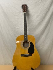 Zager Easy Play Custom Acoustic Guitar, Model Zad01pkn (ap1126950)