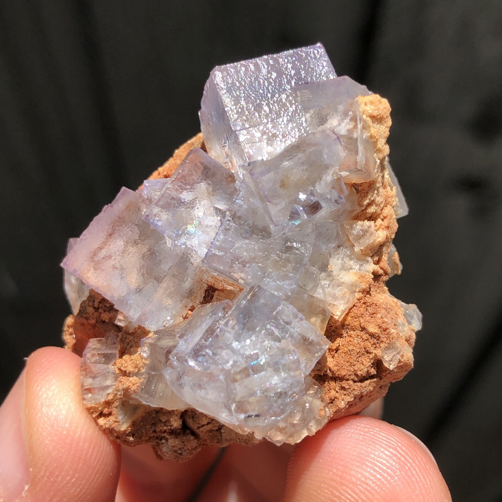 4.3cm Blue Fluorite Crystals on Matrix from La Viesca Mine Spain