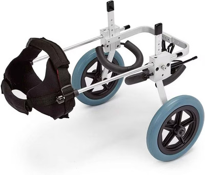Best Friend Mobility Small Dog Wheelchair 100% Charity Rear Support XXS XS S M