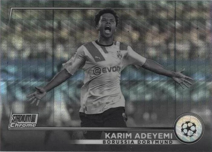 Black & White Prism Refractor