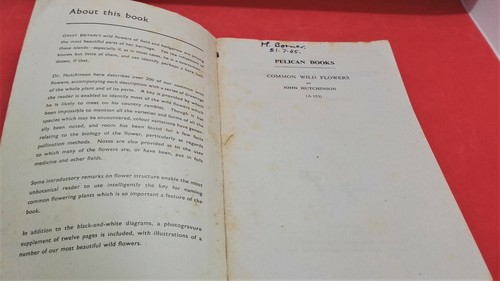 COMMON WILD FLOWERS - J. HUTCHINSON - PELICAN BOOKS 1945 EDITION - Picture 4 of 8