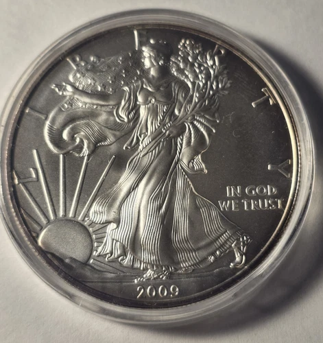 2009 Silver Eagle $1 Dollar 1oz Uncirculated .999 -In Capsule