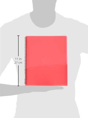 Esselte Poly 8-Pocket Folder - Letter Size - 9.1 x 10.6 x 0.4 (Colors may Vary) - Picture 2 of 2