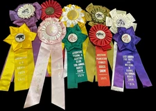 1970s Lot 10 PRETTY horse show ribbons rosettes crafts Longacres NY  Savannah GA