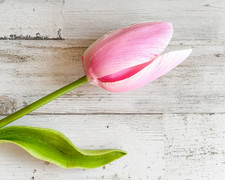 Classic artificial extra long bright pink tulip pick