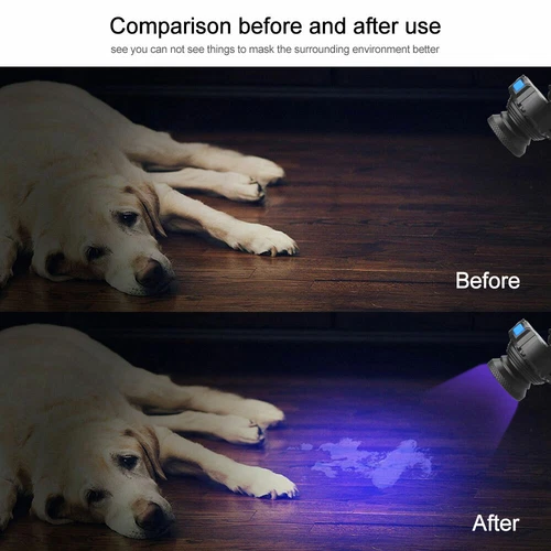 Wiederaufladbare 395 nm UV LED Stirnlampe Zoombar Schwarzlicht Taschenlampe Kopflampe USB - Bild 15 von 19