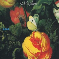 Audio Cd - Morphine - Good - Music On Cd -D- Neu